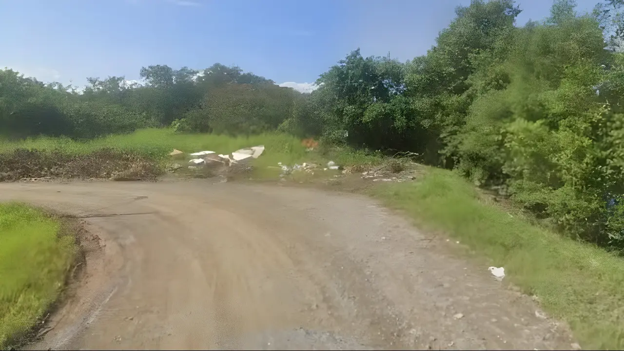 Casal de jovens que estava desaparecido é encontrado morto em área de mangue