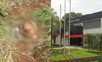 Funcionários encontram crânio humano em rodovia