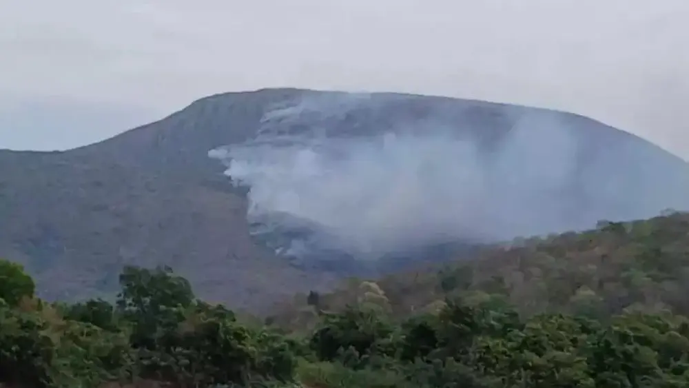 Fogo destrói mais de 7 mil hectares em 12 dias; incêndio já atingiu 19 mil hectares