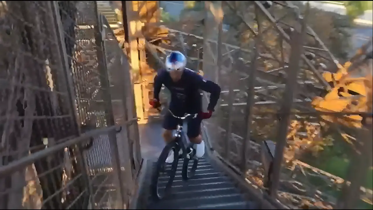 Reprodução