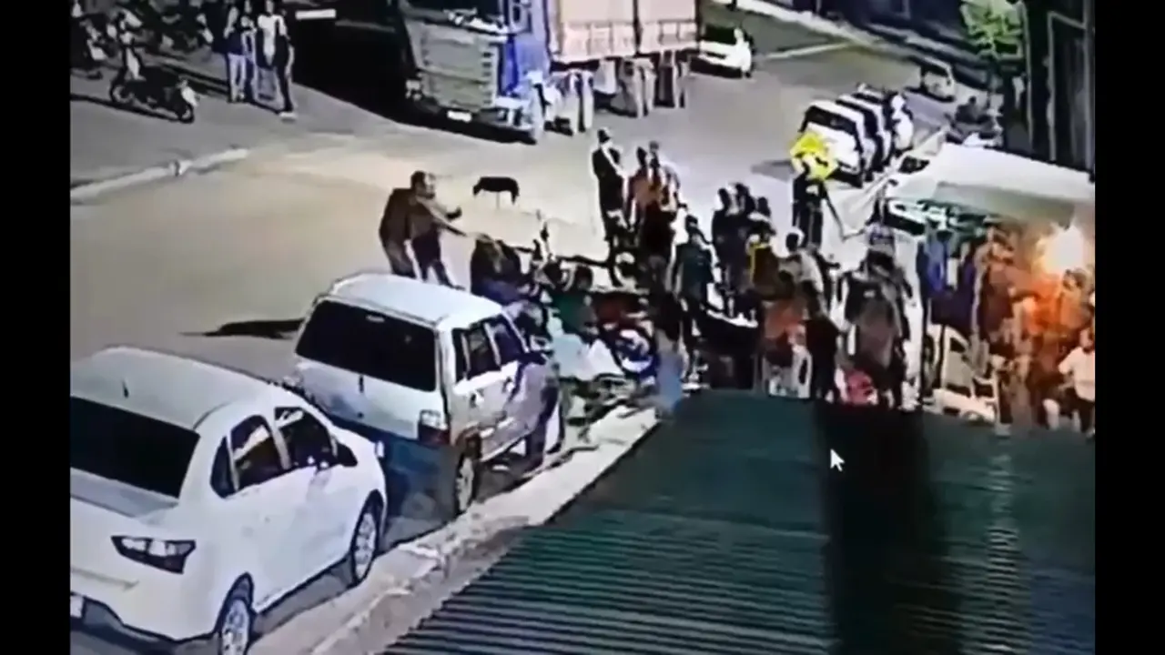 Reprodução