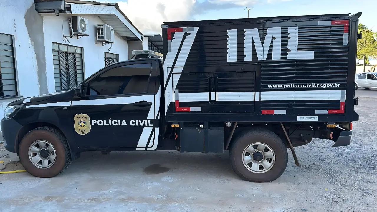 Motociclista morre após se chocar contra égua solta em estrada (Foto: Polícia Civil Roraima)