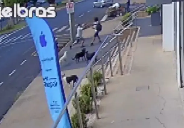 Homem que passeava com cachorros sem guia agride idoso (Foto: Câmera de Segurança)