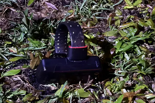 Homem se envolve em briga, rompe tornozeleira eletrônica e mata mulher (Foto: PCPR)