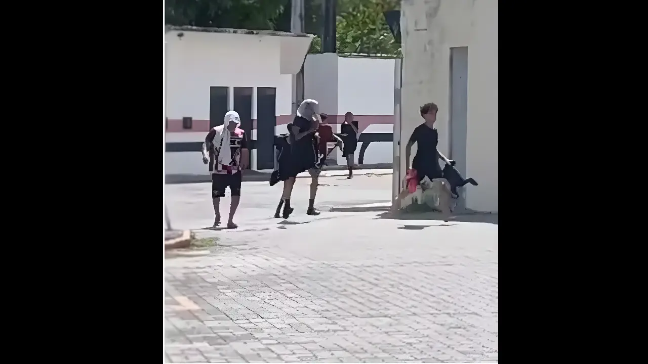Reprodução