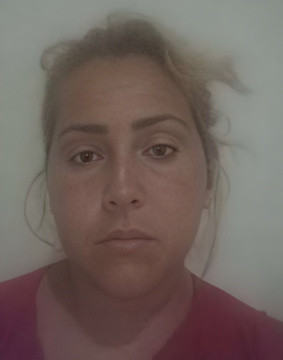 Ana Paula Veloso Fernandes confessou homicídios e revelou detalhes em áudios e mensagens (Foto: reprodução)