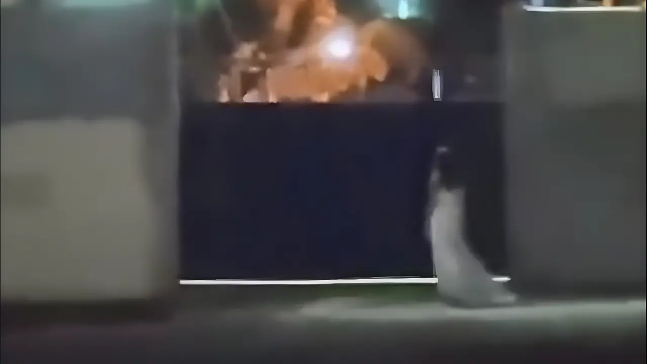 Mulher vestida de noiva é vista em frente a cemitério e deixa moradores assustados. Veja o vídeo