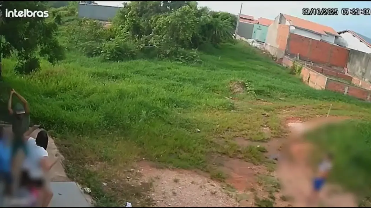 Reprodução