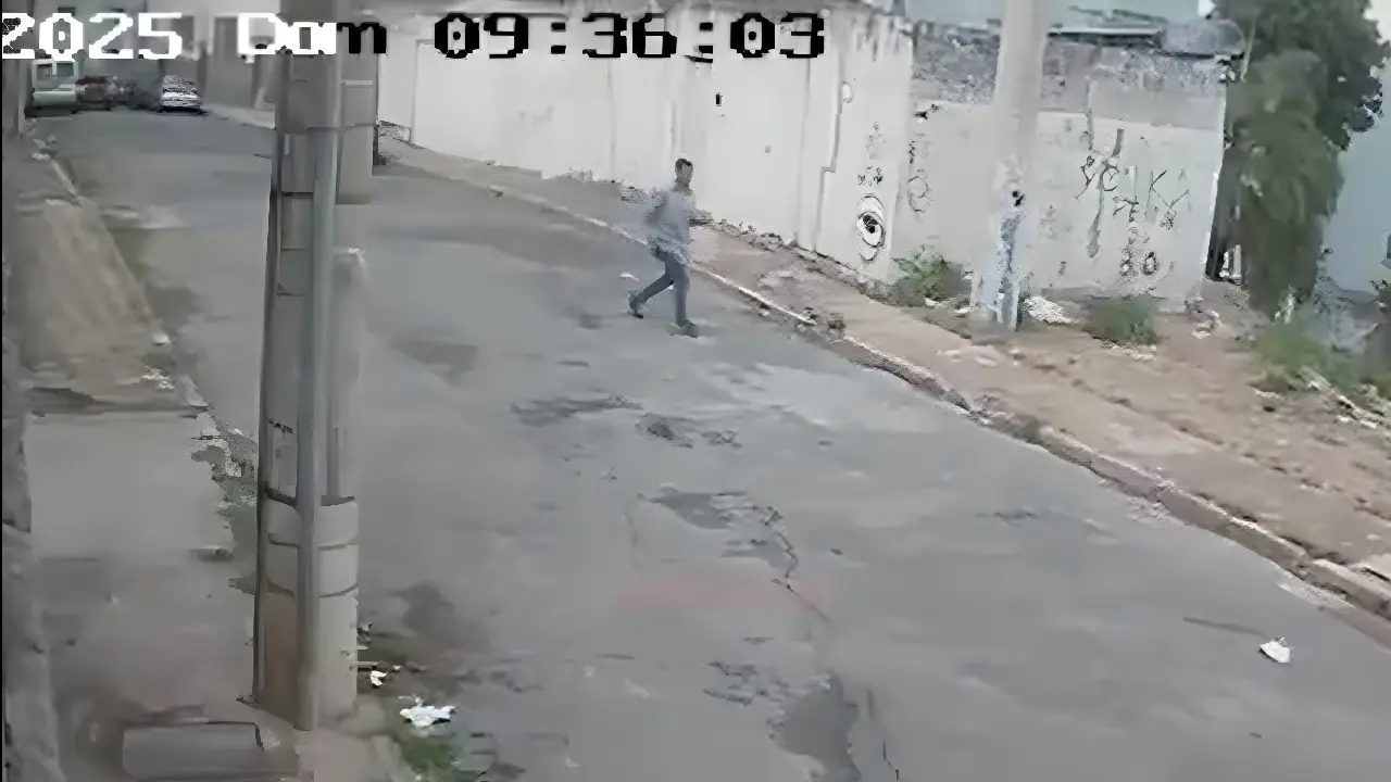 Reprodução