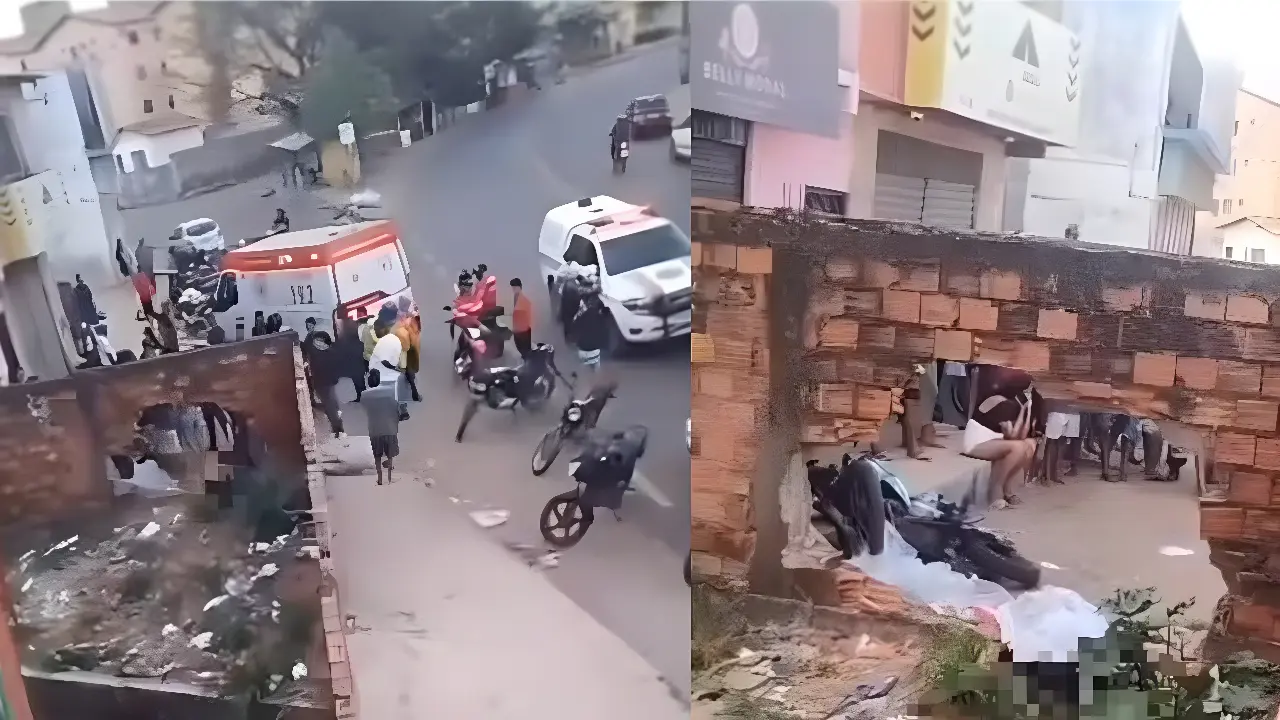 Reprodução