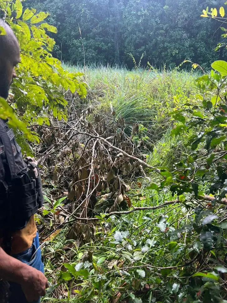 Imagens mostram como as jovens vítimas de assassinato foram descobertas (Foto: Reprodução)