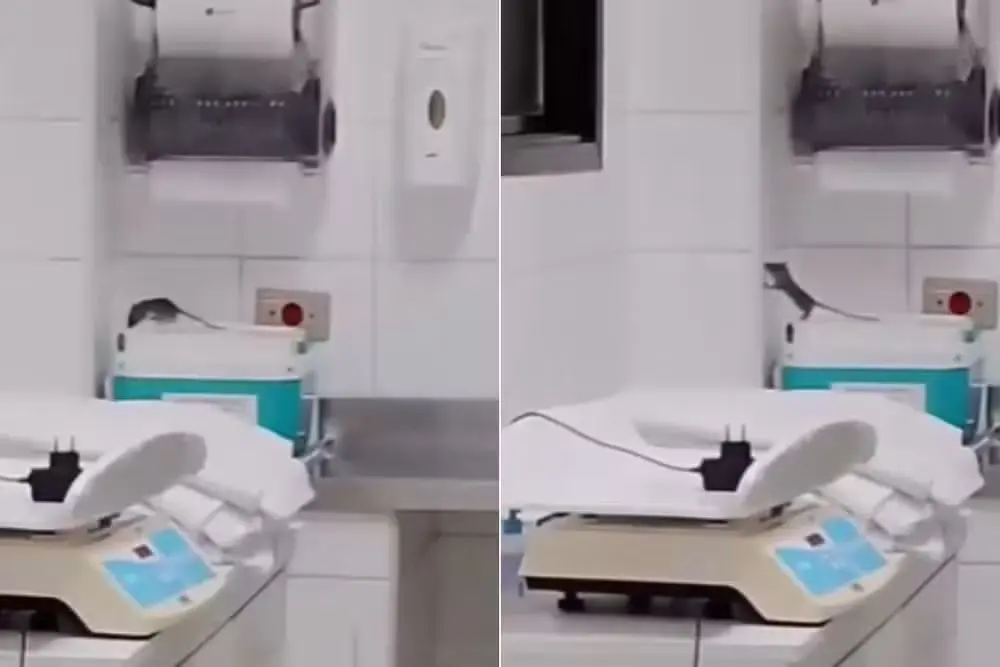 Rato invade sala de recém-nascidos em hospital (Foto: Reprodução/Redes sociais)