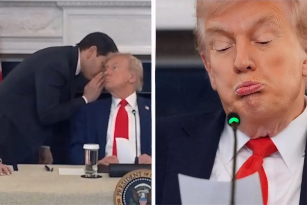 Donald Trump e Marco Rubio - Reprodução: Internet 
