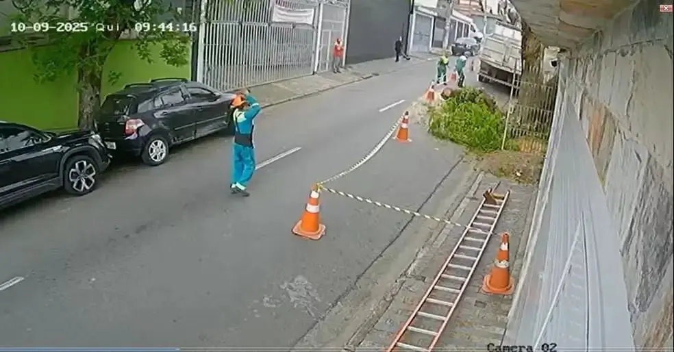 Trabalhador morre esmagado após queda de árvore durante poda (Divulgação)