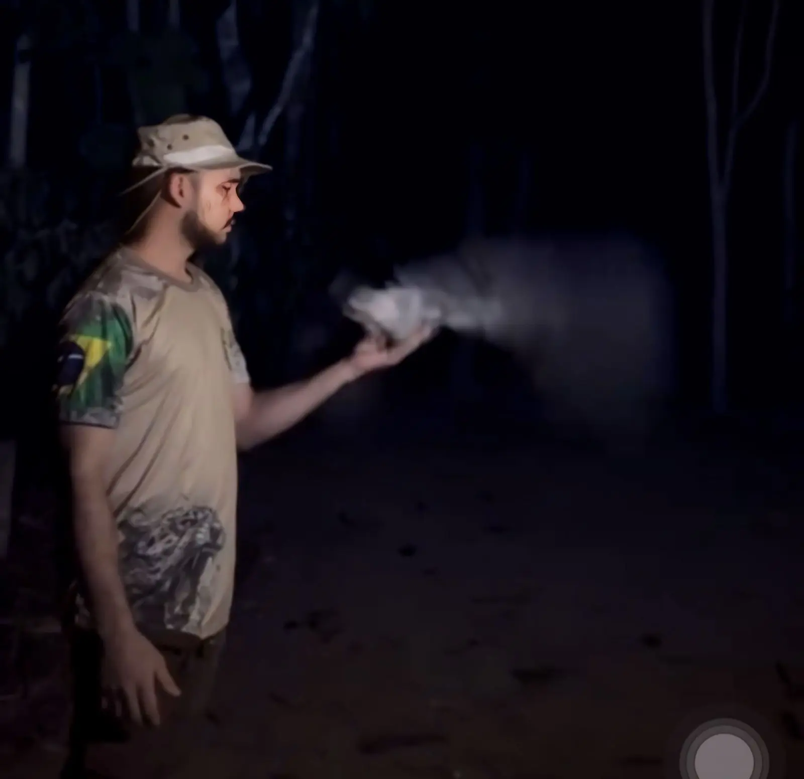 Grito de 'ave fantasma 'assusta moradores; veja vídeo (Foto: Reprodução/Redes sociais)