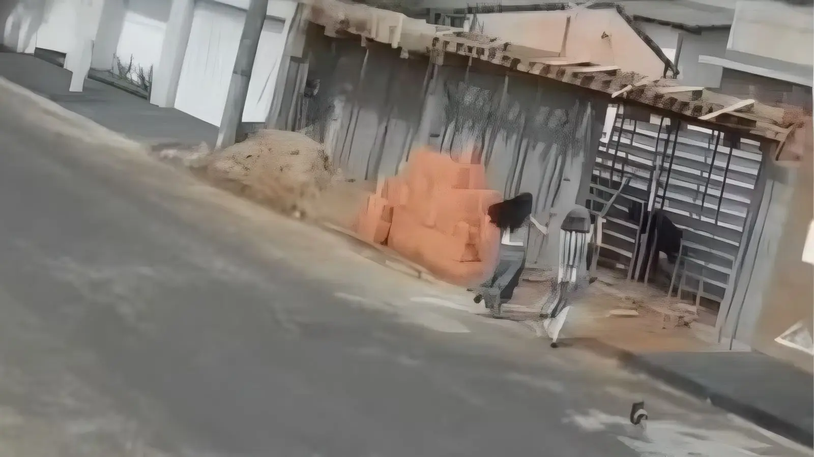Mãe e filha colocam ladrão para correr com pedaço de pau (Foto: Reprodução)