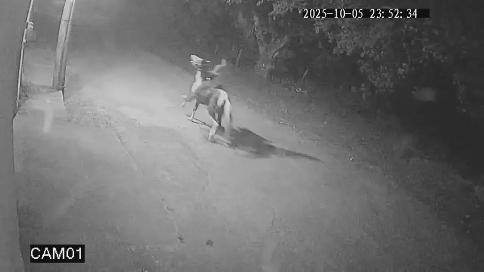 Caminhoneiro é caçado por dois homens a cavalo antes de ser assassinado (Foto: Reprodução)