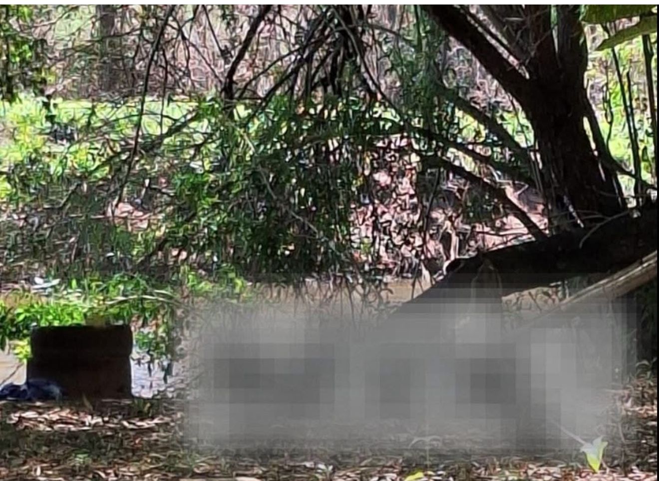 Vaza foto de mulher encontrada morta na beira de rio. veja imagens (Foto: Reprodução/Redes sociais)