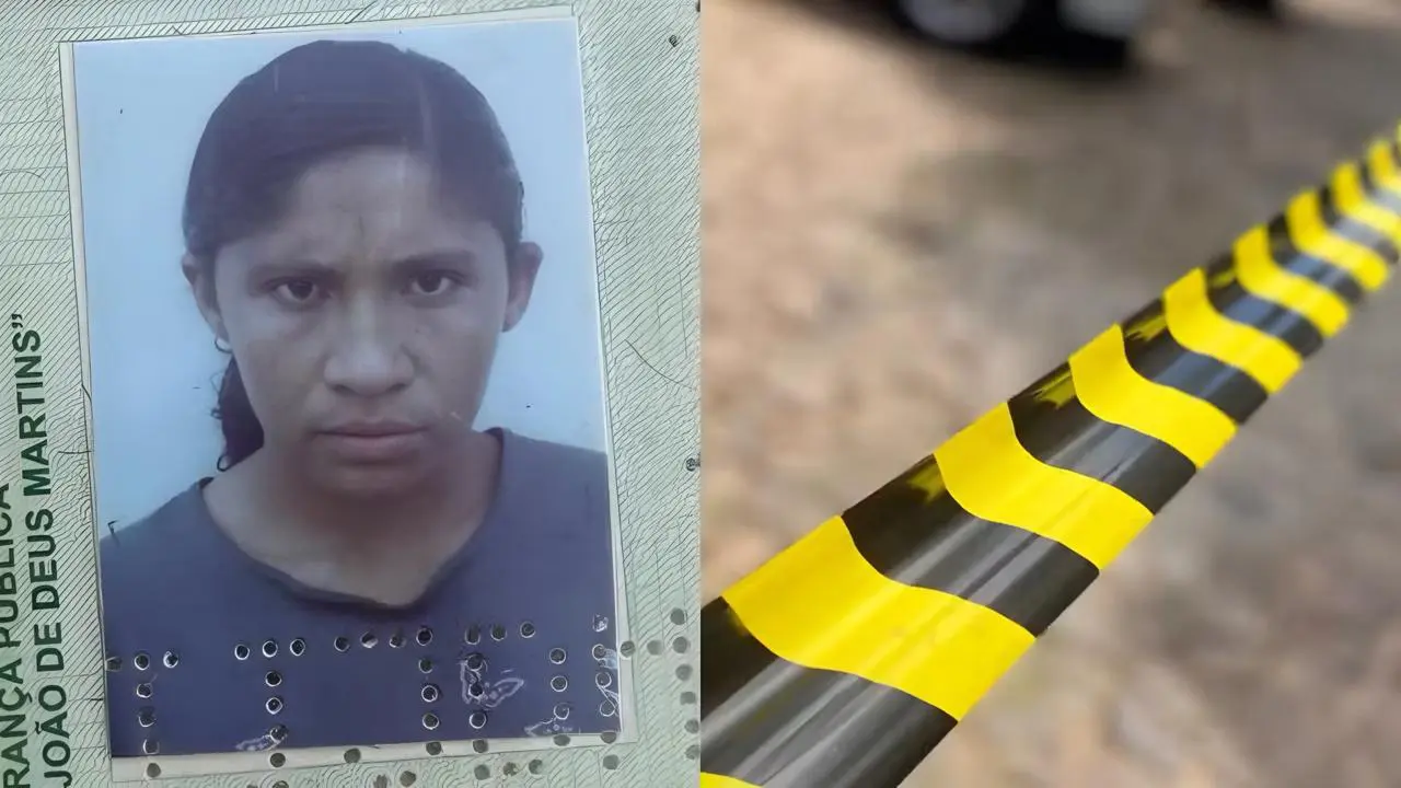 Mulher é morta a facadas após discussão por ventilador no Piauí (Foto: Reprodução)

