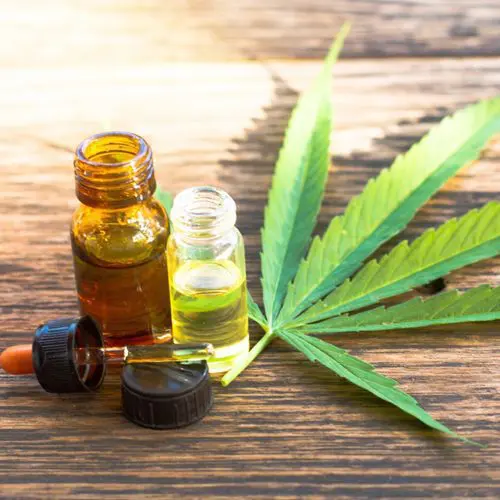 Universidade lança à distância curso sobre maconha 