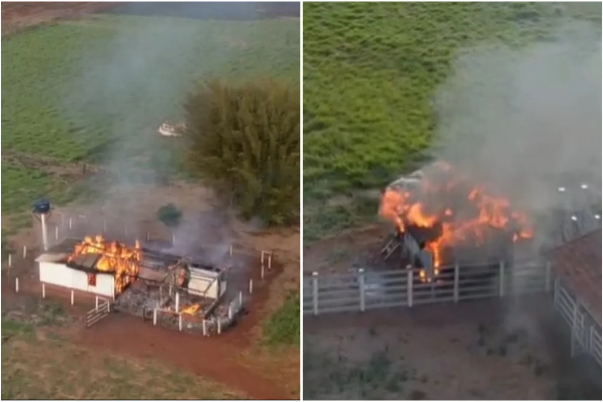 Indígenas colocam fogo em tratores após ocupar fazenda no MS; confira vídeo