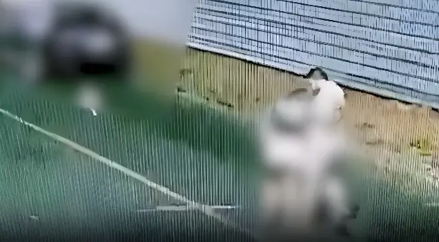 Homem é filmado agredindo namorada em Uberlândia (Foto: Reprodução / Redes Sociais)