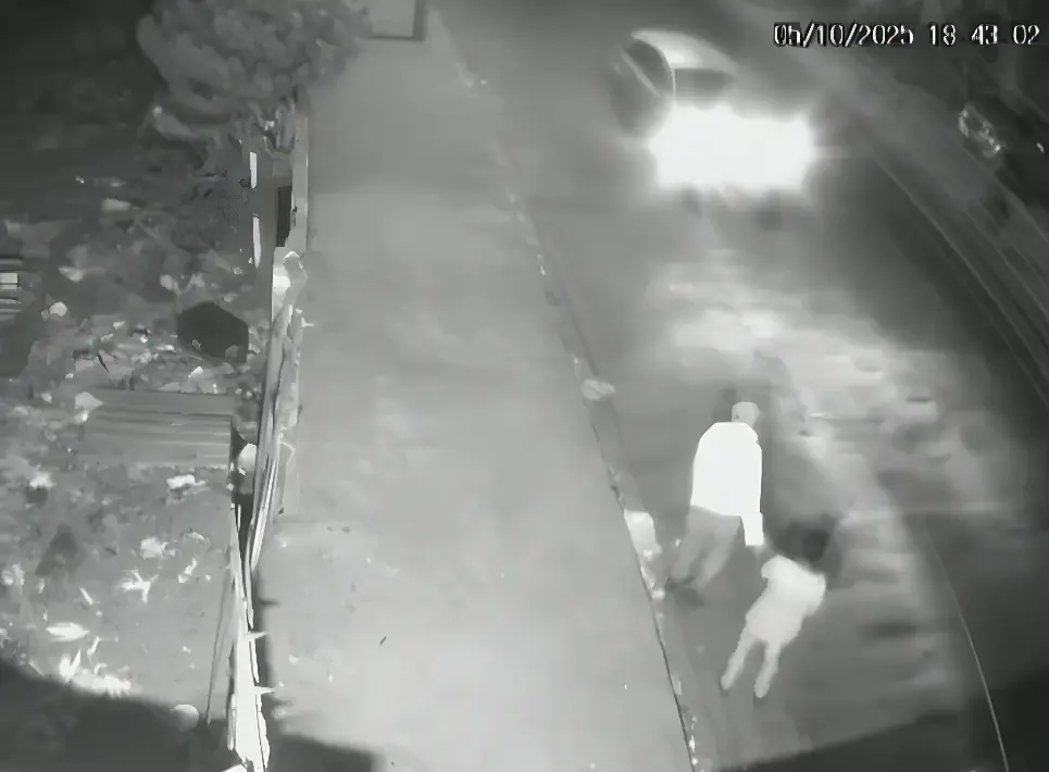 Casal de idosos foi atropelado em Limeira (Foto: Reprodução)