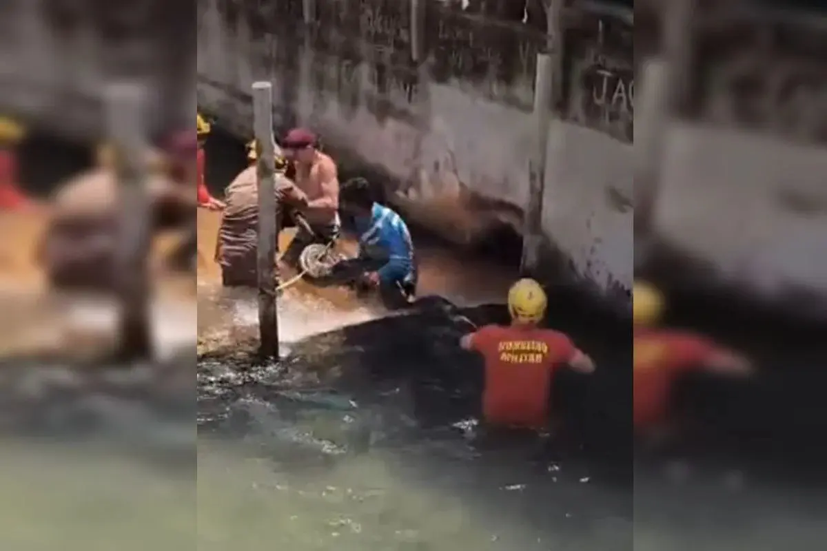 Sucuri gigante é encontrada em hotel. Veja vídeo