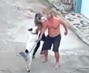 Foto: reprodução/redes sociais