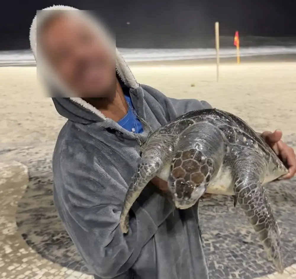 Homem foi flagrado carregando tartaruga nos braços na Praia de  Copacabana (Foto: Reprodução / Redes Sociais)