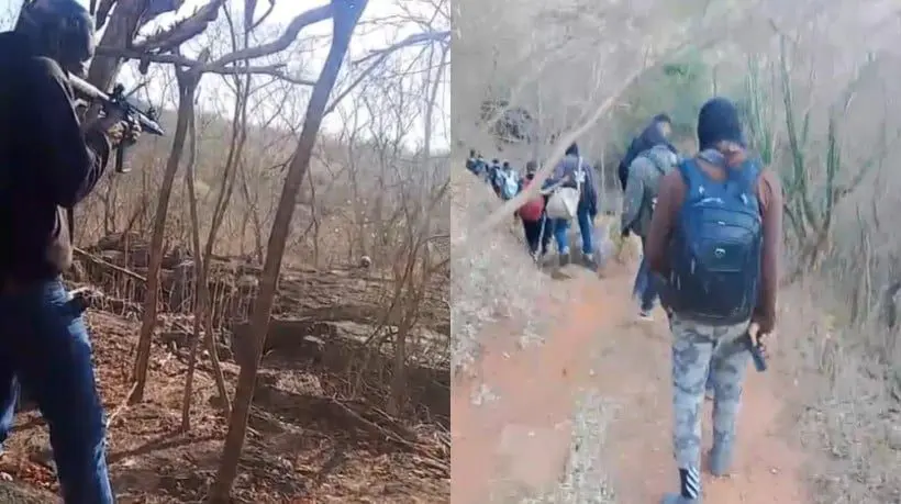Polícia do Ceará matou sete faccionados do CV que andavam por região de mata (Foto: Reprodução)