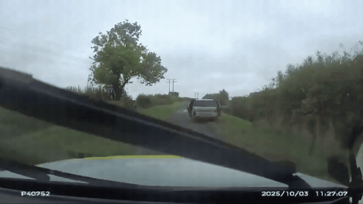 Polícia flagra caça ilegal e persegue criminosos; vídeo