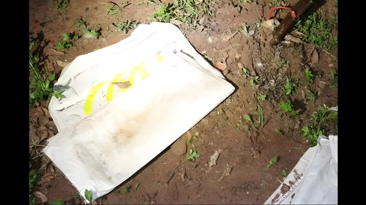 Local onde a arma foi encontrada. (Reprodução)