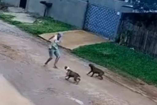 Idoso de 67 anos ficou bastante machucado após ataques de pitbulls (Foto: Reprodução)