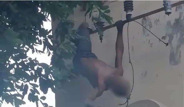 Homem tenta furtar fios, mas fica pendurado e leva choque elétrico (Foto: Reprodução)
