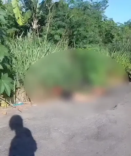 Corpos de dois jovens são encontrados amarrados e com marcas de tiros (Foto: Reprodução)