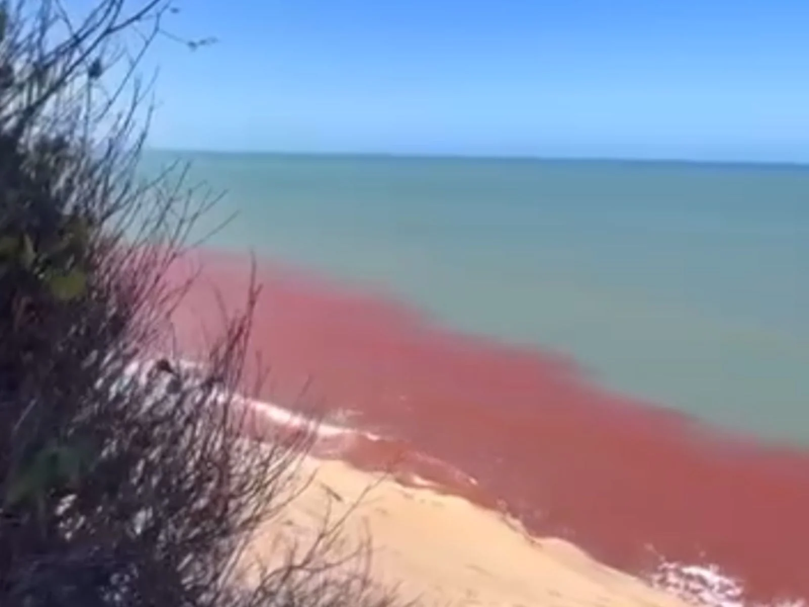Mar fica vermelho em praia paradisíaca e assusta turistas; vídeo