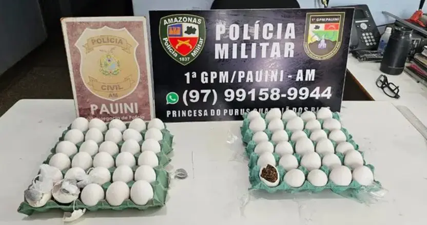 Divulgação