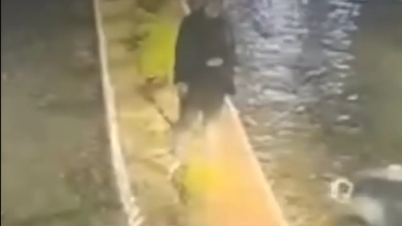 VÍDEO: homem atropela ex-companheira após discussão; polícia apura tentativa de feminicídio