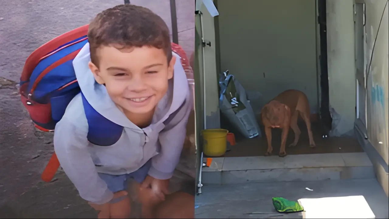 Menino de 4 anos morre após ataque de pitbull dentro de casa