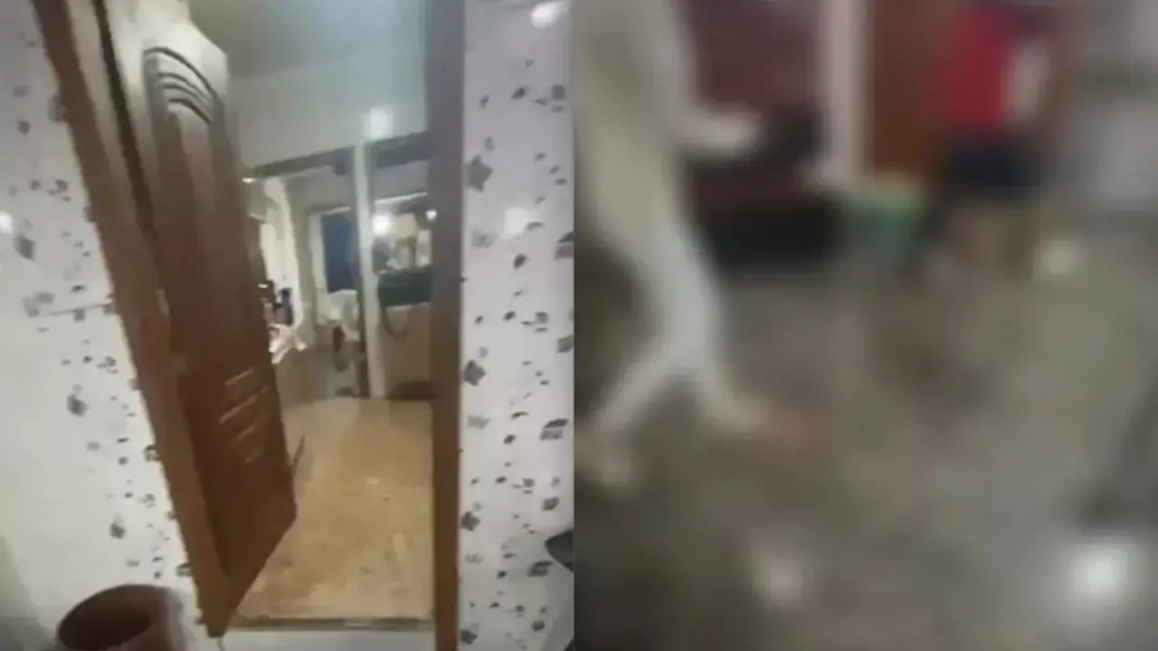 Reprodução / Porto Alegre 24 Horas