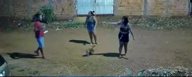 Imagens mostram o momento em que homem ataca duas vizinhas a facadas durante uma discussão em Campo Grande; crime ocorreu na noite deste sábado (1). Foto: Divulgação.