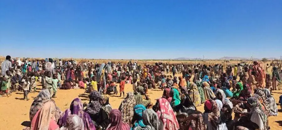 Vídeos divulgados por rebeldes revelam massacres durante guerra; veja