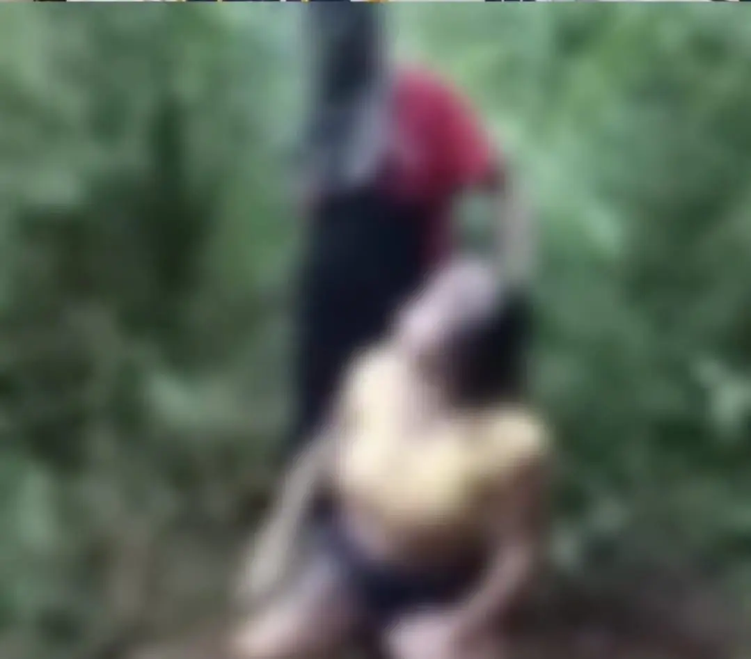 Senador Cleitinho publicou imagens de uma mulher sendo executada por fação criminosa - Reprodução/ Redes sociais

