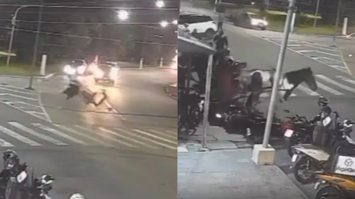Cavalo invadiu avenida no Jardim Santa Helena e derrubou várias motocicletas após colidir com um motoqueiro. Foto: Divulgação.