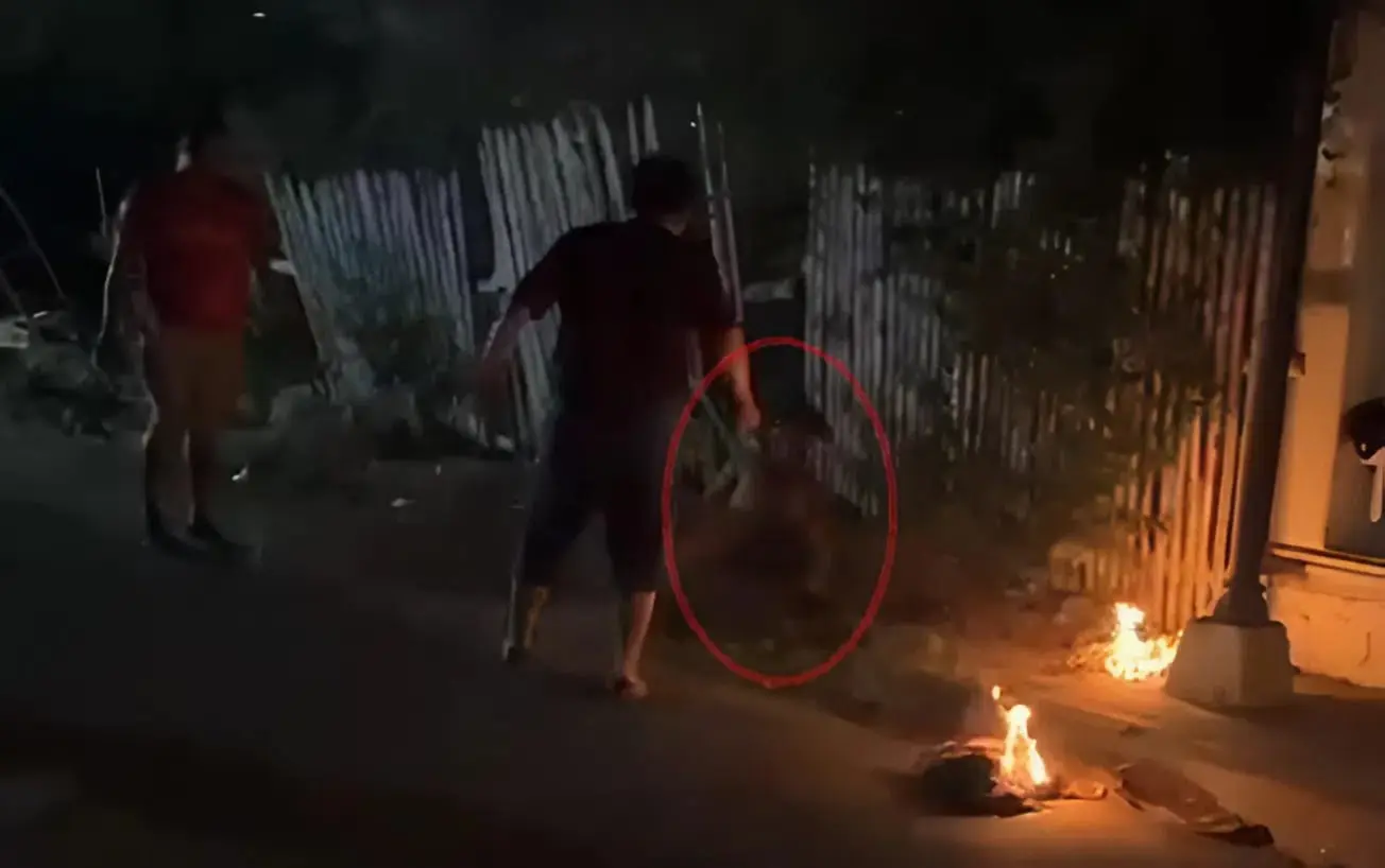 Vídeo: ladrão é atacado e quase queimado vivo por vizinhos