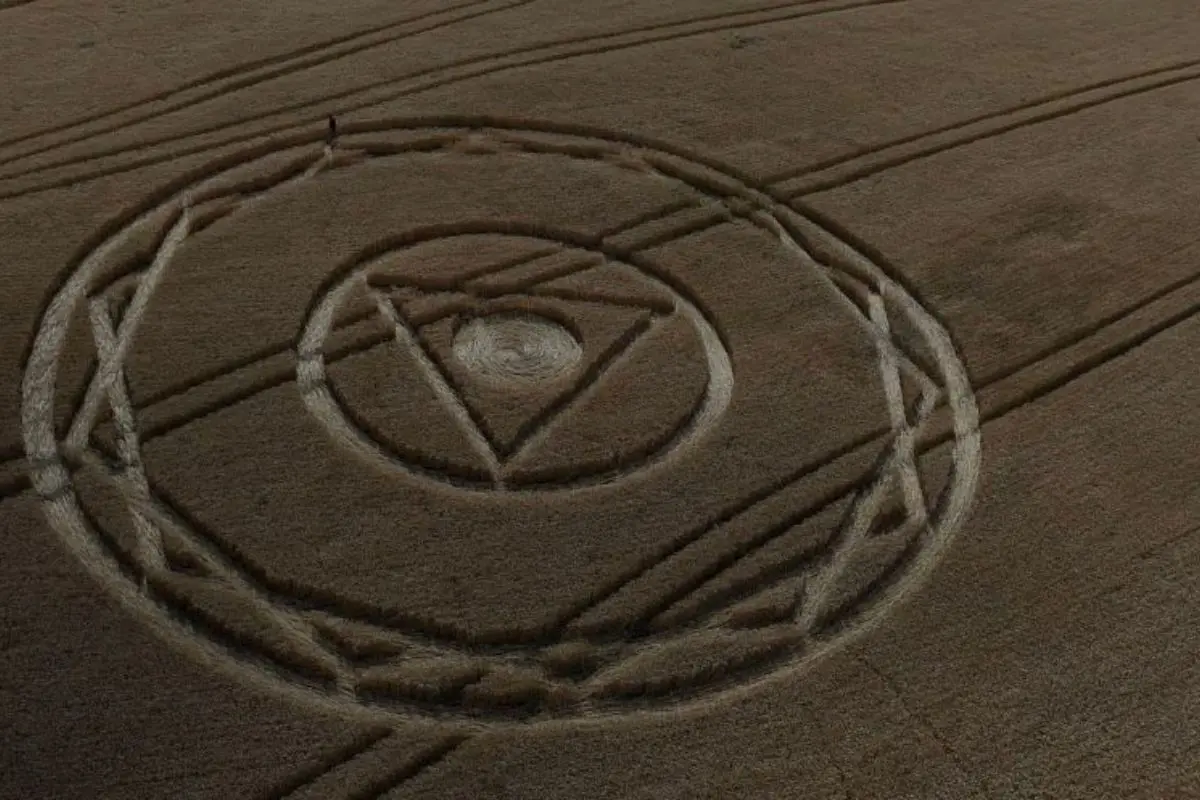 Marca misteriosa aparece em plantação no interior de SC e intriga moradores