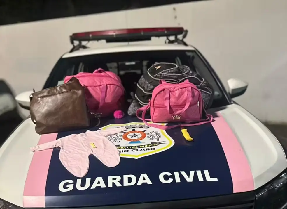 Roupas e bolsas estavam com jovem de 22 anos que sequestrou a recém-nascida em Rio Claro (SP)  (Foto: GCM/Divulgação)