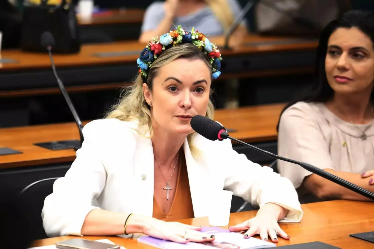 Deputada do PL posa com fuzis e ironiza disputa pelo Senado