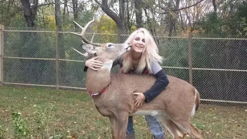 Mulher é atacada e morta por animal que cuidava havia 12 anos